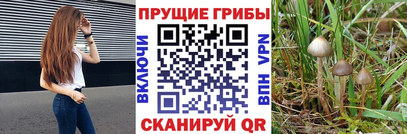 Купить закладки  Ак-Довурак  Галлюциногенные грибы ЛСД 